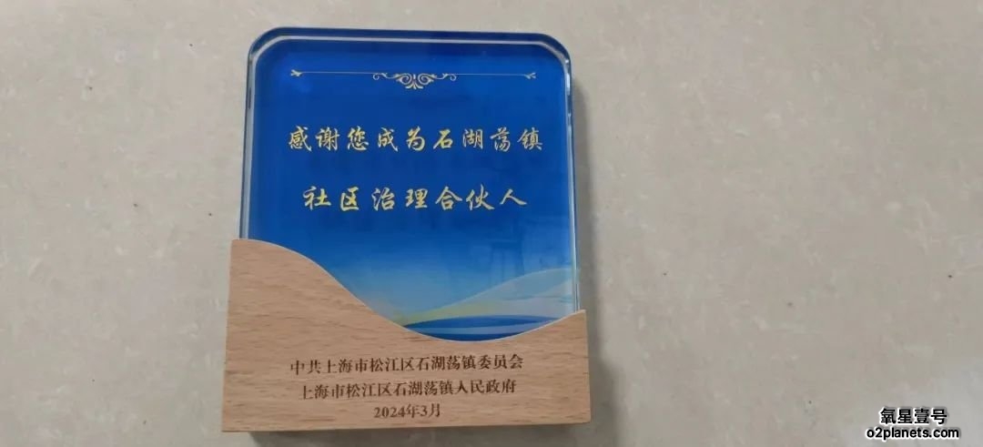 石湖荡镇社区治理合伙人