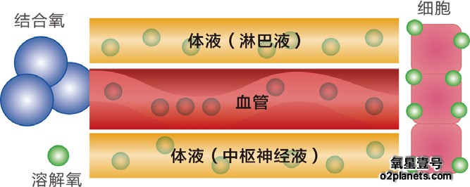 关于高压氧疗