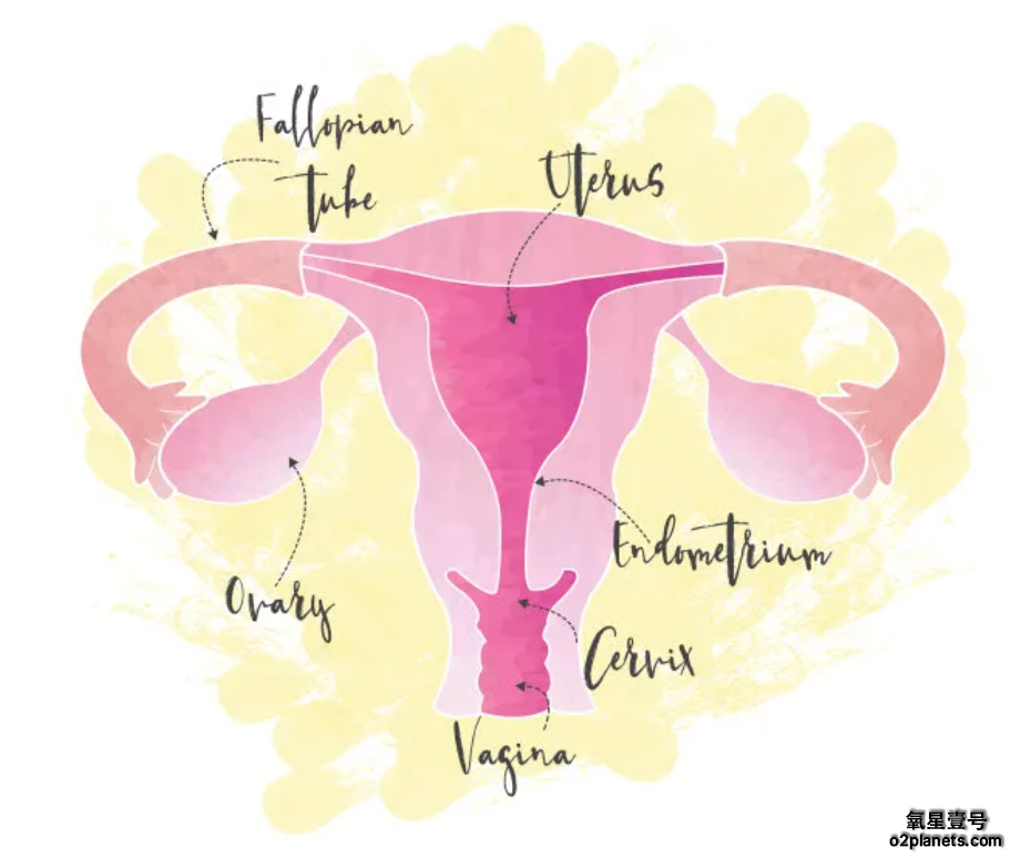 告别止痛药？民用高压氧舱或成痛经女性新选择