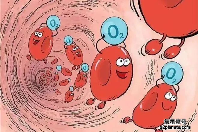 家用高压氧舱——解锁女性健康美学的生物密钥