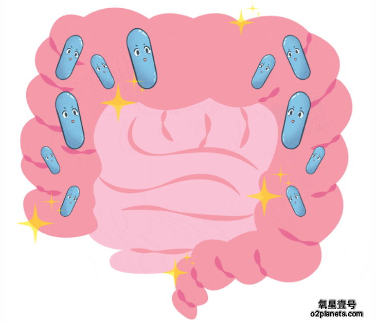 高压氧和肠道菌群