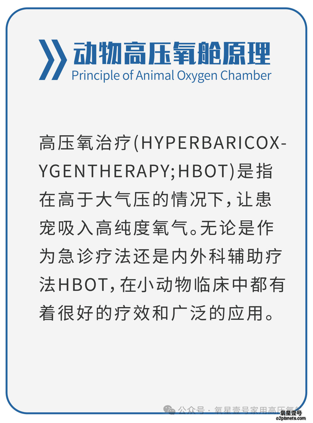 动物高压氧舱原理