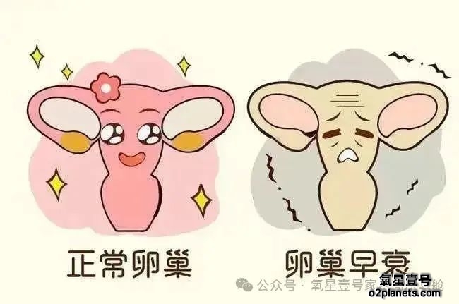 家用高压氧舱如何为卵巢早衰女性打开健康新通道