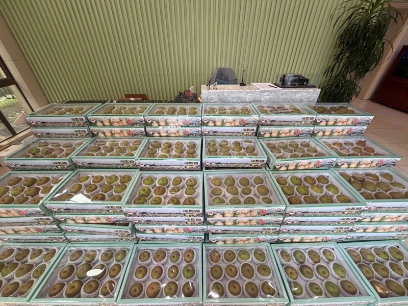 梨香入夏 自在安康,上海宝邦为全体员工送福利