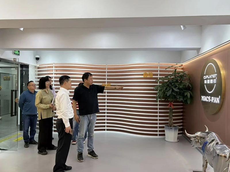 石湖荡镇党委火光书记一行莅临上海宝邦调研指导